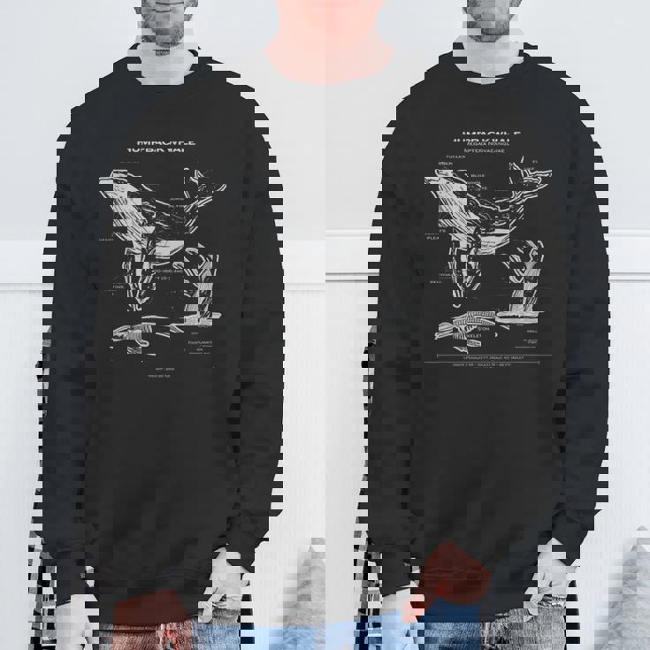 ザトウクジラの解剖学アパレルクジラ航海 スウェットシャツ 高齢者への贈り物