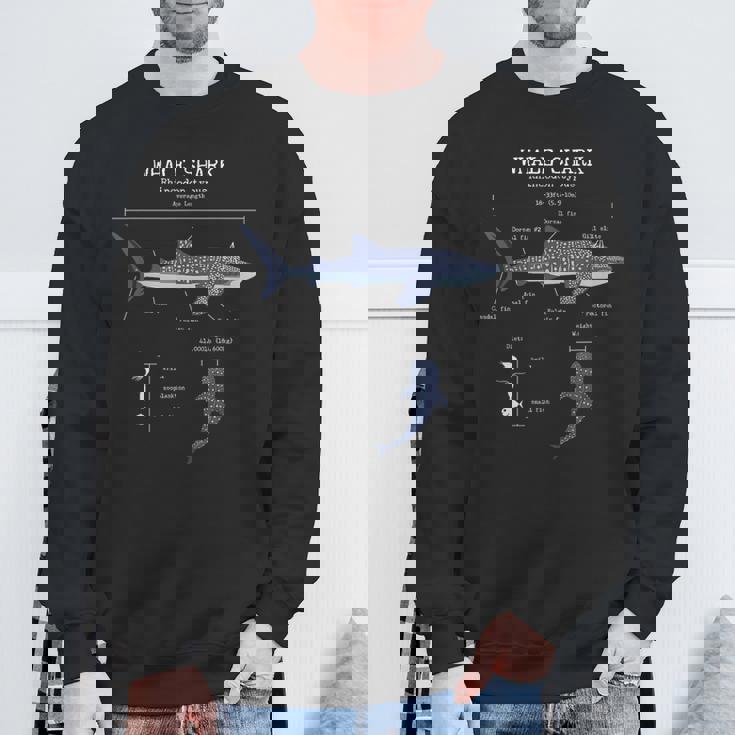 ジンベイザメ 解剖学 メンズ レディース キッズ ジンベイザメ スウェットシャツ 高齢者への贈り物