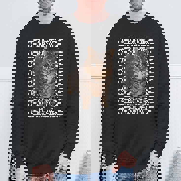 スピニングキャットミーム Oiiaoiia キャットミーム スウェットシャツ 高齢者への贈り物