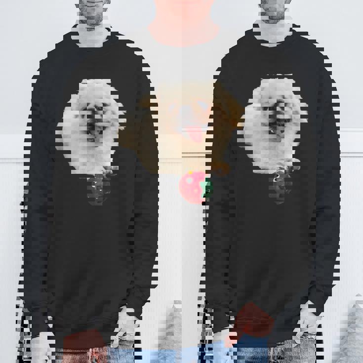 スマイル ペキニーズサニー スウェットシャツ 高齢者への贈り物