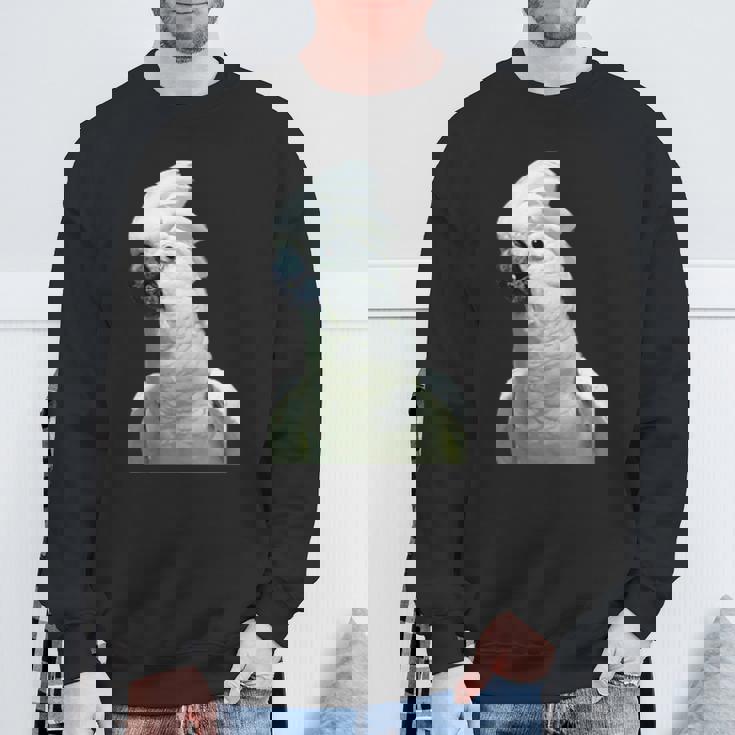 タイハクオウム 鳥 オウム スウェットシャツ 高齢者への贈り物