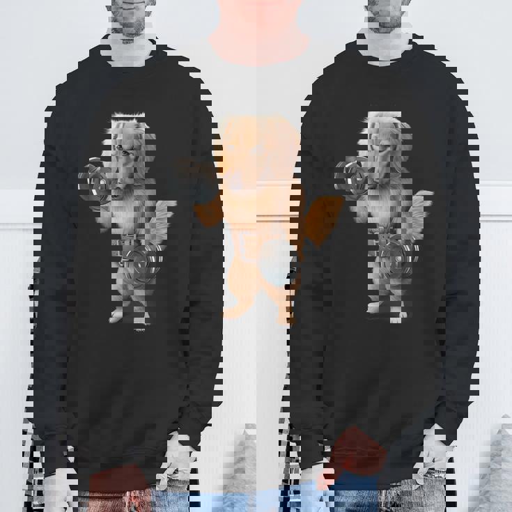 ダックスフンド 犬の筋肉トレーニング ダンベル付き フィットネスジム スウェットシャツ 高齢者への贈り物