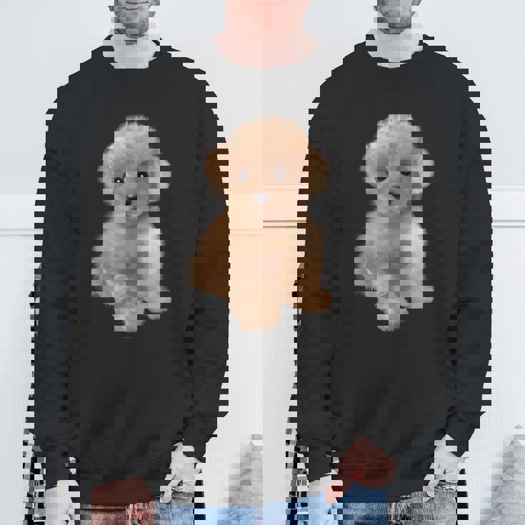 トイプードル犬、品種、ミニプードル子犬 スウェットシャツ 高齢者への贈り物