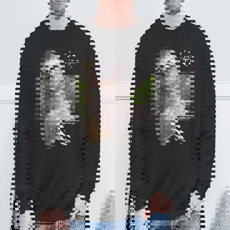 ナマケモノのチューウィー スウェットシャツ 高齢者への贈り物