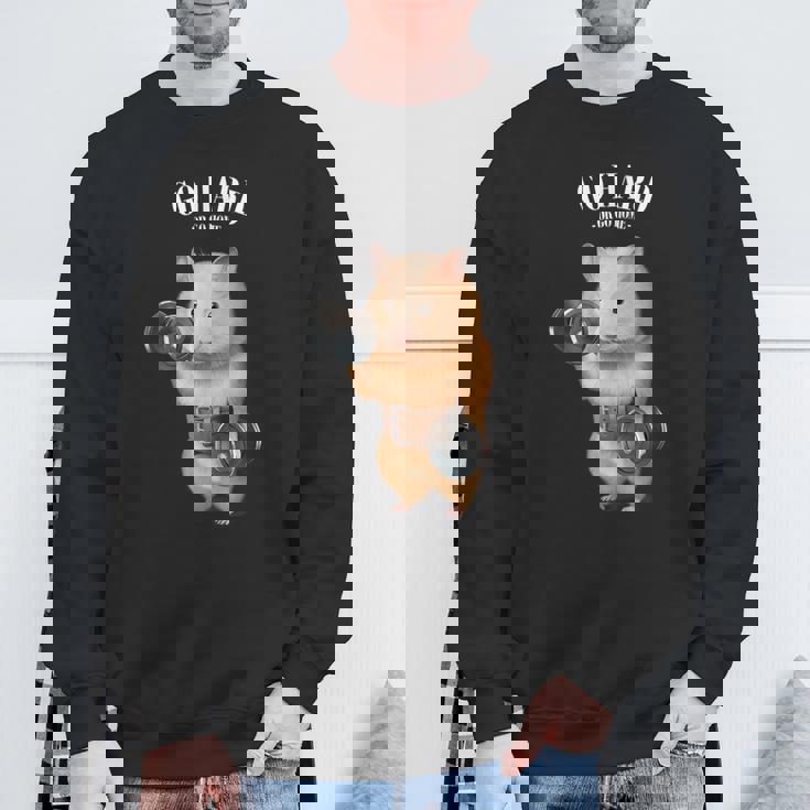 ハムスター 筋トレ ダンベル付き フィットネスジム スウェットシャツ 高齢者への贈り物