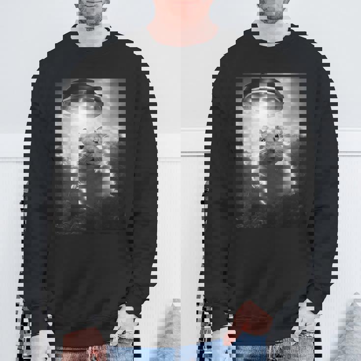 ハムスターを追うufo、クレイジーな動物、面白いハムスター スウェットシャツ 高齢者への贈り物