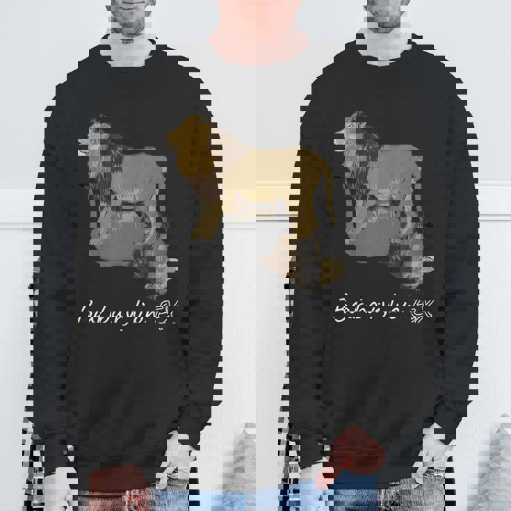 バーバリライオン スウェットシャツ 高齢者への贈り物