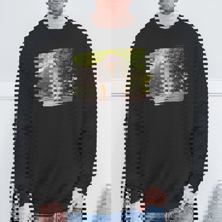 パタス・モンキー スウェットシャツ 高齢者への贈り物