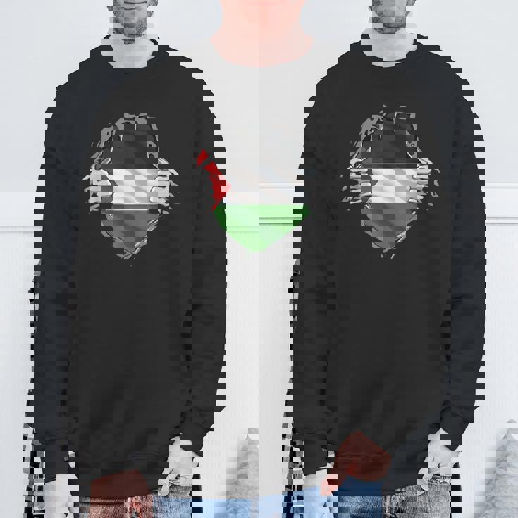 パレスチナシャツ パレスチナ国旗 アラビアのルーツ 遺産 Dna スウェットシャツ 高齢者への贈り物