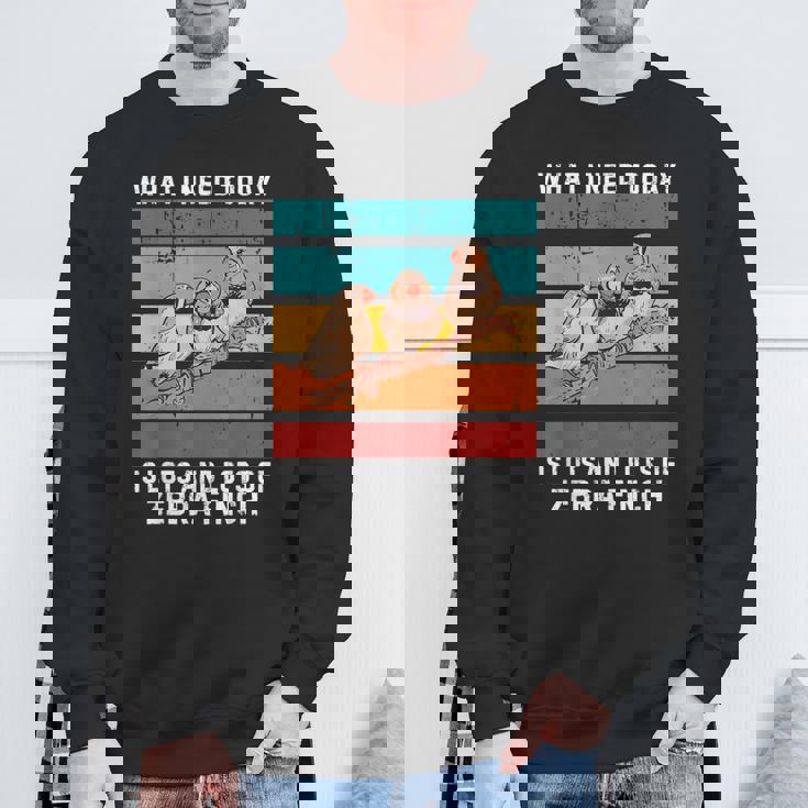 ビンテージ今日必要なのはキンカチョウがたくさん スウェットシャツ 高齢者への贈り物