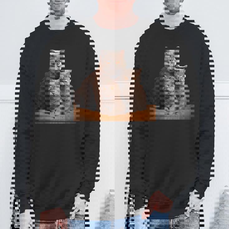 ブリティッシュショートヘアキャット 母の日 ブリティッシュショートヘアキャット スウェットシャツ 高齢者への贈り物