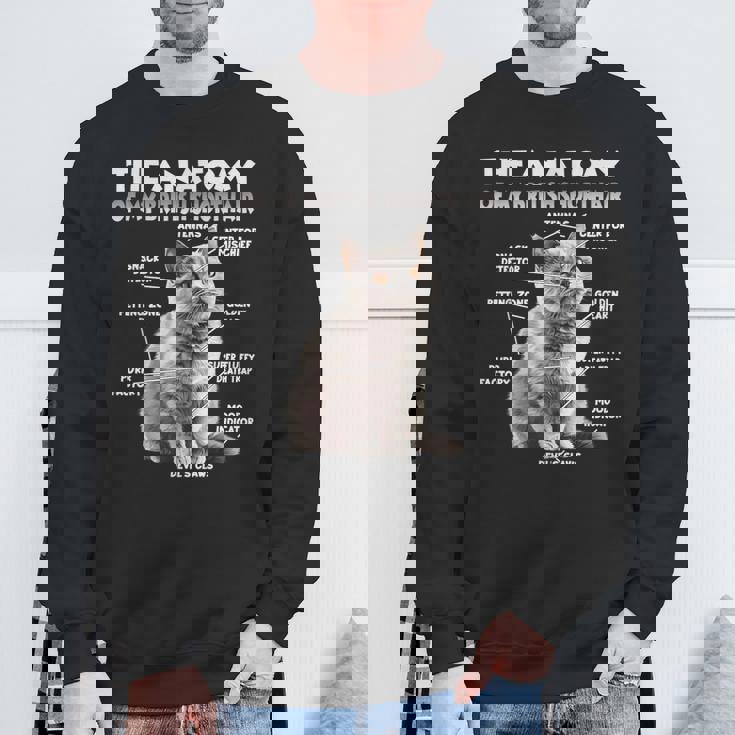 ブリティッシュショートヘアーt スウェットシャツ 高齢者への贈り物