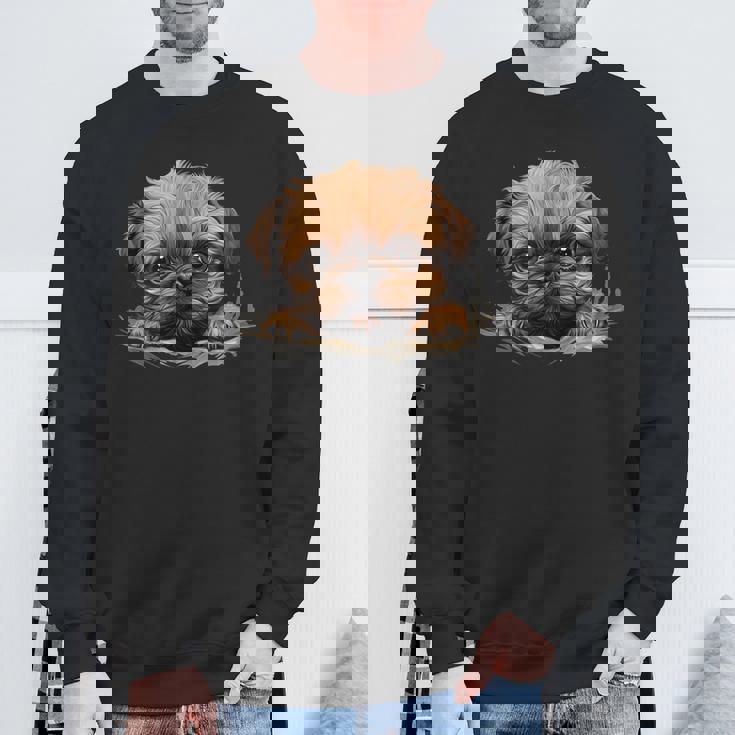 ブリュッセル・グリフォン スウェットシャツ 高齢者への贈り物