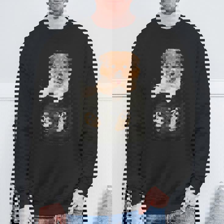 プリントポケットに入ったコリー犬 犬好きに面白い スウェットシャツ 高齢者への贈り物