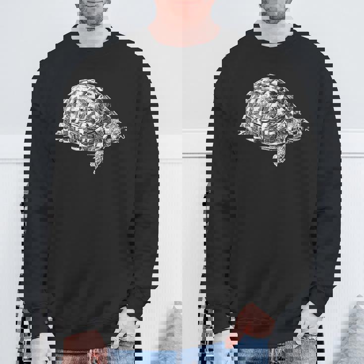 ヘルマンリクガメ スウェットシャツ 高齢者への贈り物