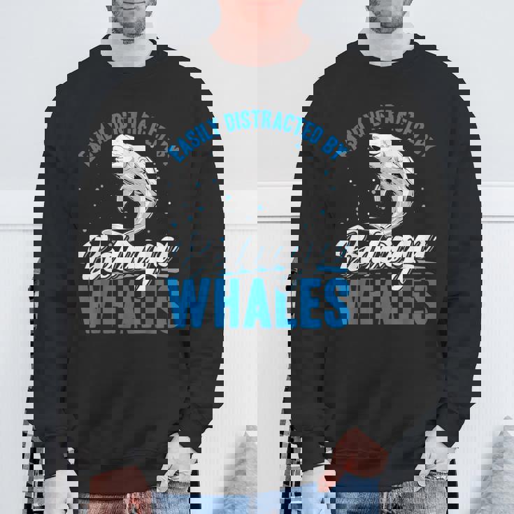 ベルーガクジラに簡単に気を取られる面白いシロイルカ動物。 スウェットシャツ 高齢者への贈り物