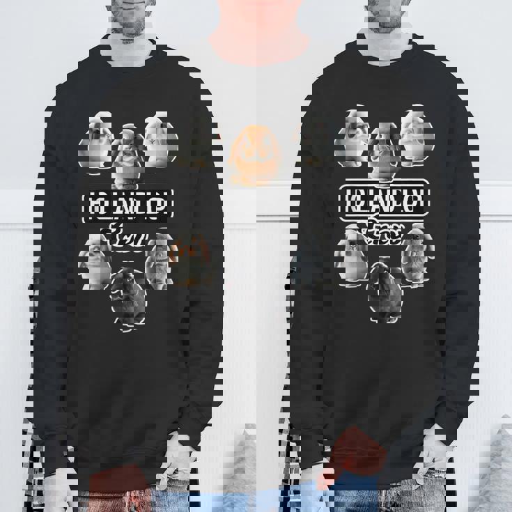 ホーランドロップラビットクルーファニーバニー スウェットシャツ 高齢者への贈り物