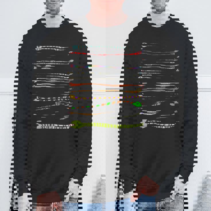 ボーダー カラフル Pop 爬虫類 かわいい オリジナル ヘビ柄 手描き フロント ボーダー イラスト おもしろ スウェットシャツ 高齢者への贈り物