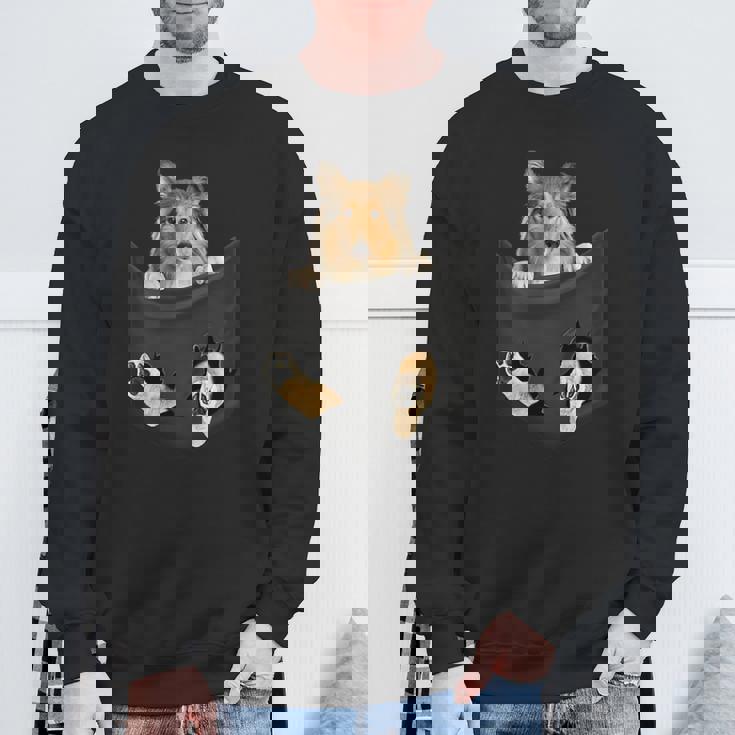 ポケットに入ったセーブルコリー犬、ラフコリーの子犬のぞき見 スウェットシャツ 高齢者への贈り物