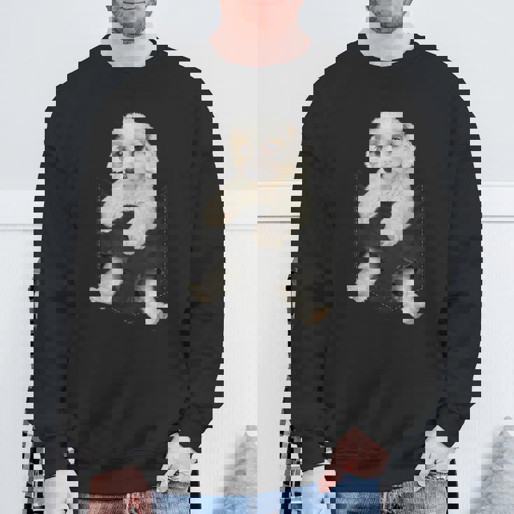 ポケットに入った面白いcavachon Dog Cavachon Dog好きのための スウェットシャツ 高齢者への贈り物