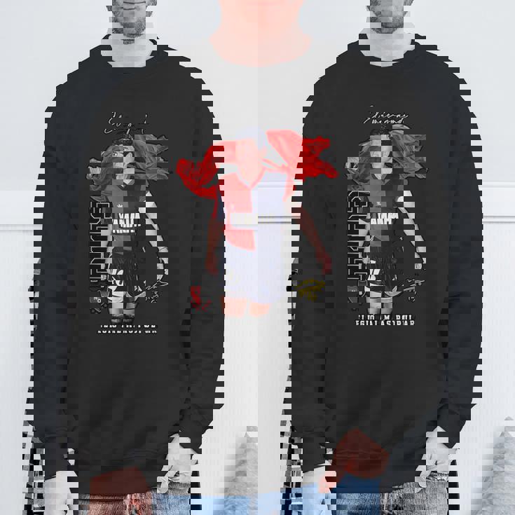 マラドーナ・ニューウェルズ スウェットシャツ 高齢者への贈り物