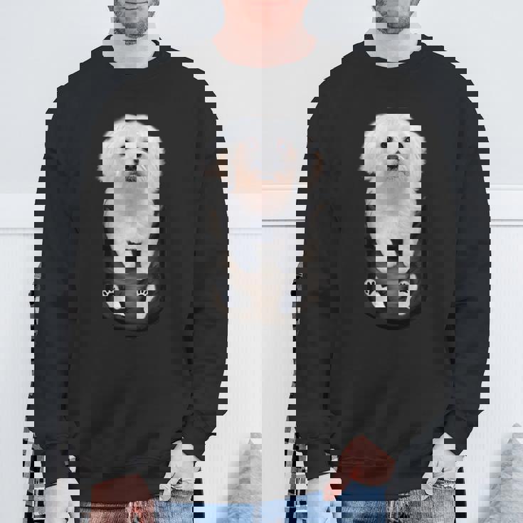 マルチーズ マルタ犬 マルタ語 スウェットシャツ 高齢者への贈り物