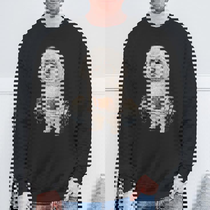 マルチーズドッグ筋トレ バーベルシュラッグバー フィットネス スウェットシャツ 高齢者への贈り物