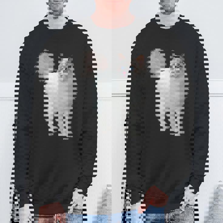 ラグドール 猫のポートレート ラグドール キャットヘッド ラグドール 猫の顔 スウェットシャツ 高齢者への贈り物