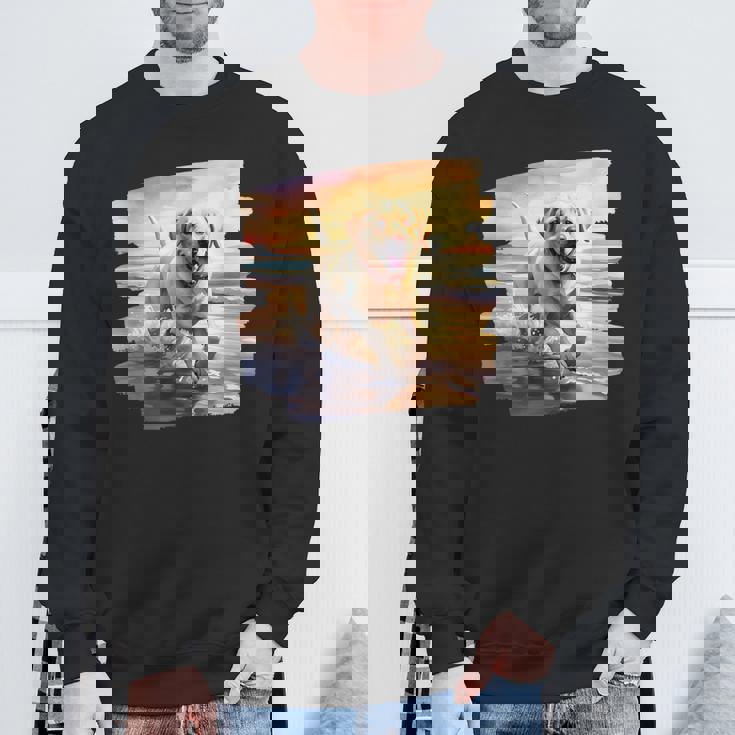 ラブラドールオンザビーチ、ラボ、犬、ラブラドール子犬 スウェットシャツ 高齢者への贈り物