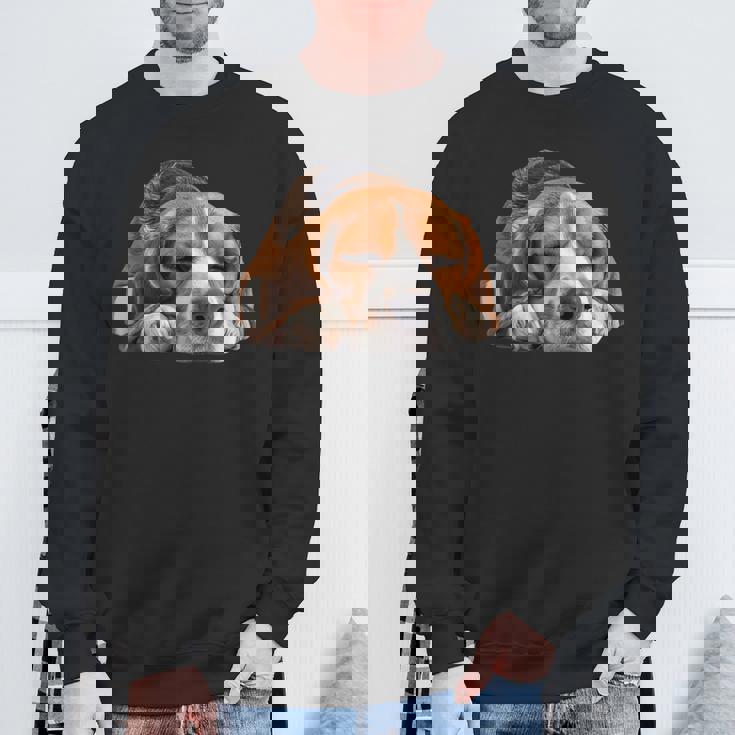 レイジービーグル スウェットシャツ 高齢者への贈り物