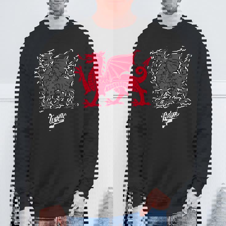 レクサム ウェールズドラゴン 小台本 スウェットシャツ 高齢者への贈り物