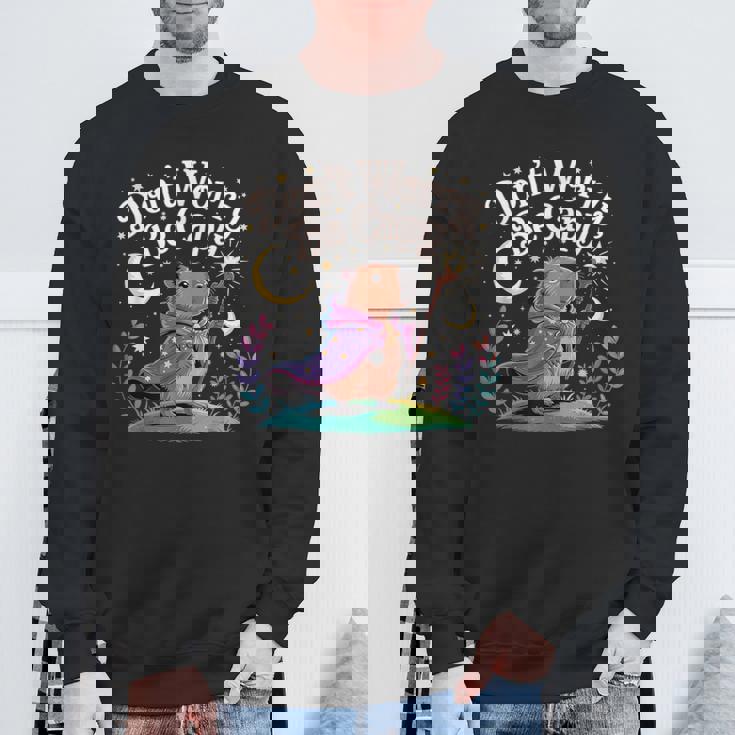 レトロ ドントウォーリー Be Capy ファニーカピバラ メンズ ボーイズ キッズ レディース スウェットシャツ 高齢者への贈り物