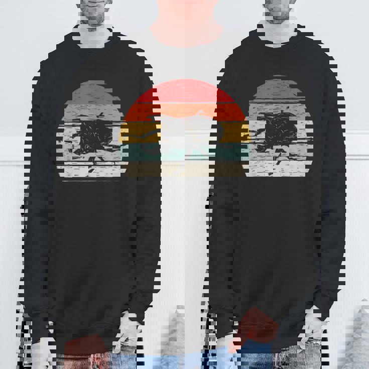 ヴィンテージ レトロ カブトムシ 昆虫 スウェットシャツ 高齢者への贈り物