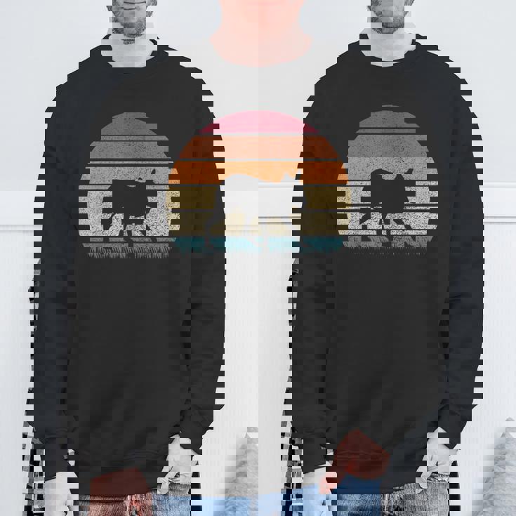 ヴィンテージ レトロ サンセット パタゴニア マーラ 恋人 アンティーク調 スウェットシャツ 高齢者への贈り物