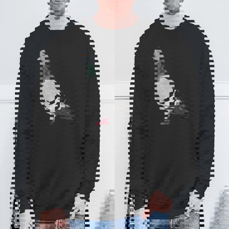 伝書鳩 鳥 動物 図 バードウォッチング 贈り物 鳥類学者 スウェットシャツ 高齢者への贈り物