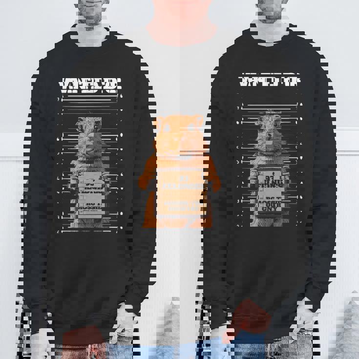 全国指名手配 重犯罪93件ハムスター スウェットシャツ 高齢者への贈り物