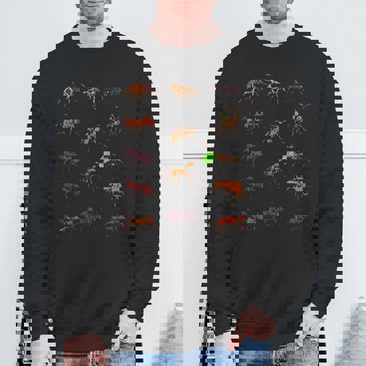 多くの種類のアリ スウェットシャツ 高齢者への贈り物