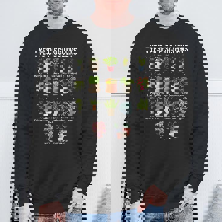 多肉植物の種類 シャツ 多肉植物 多肉植物 庭 スウェットシャツ 高齢者への贈り物