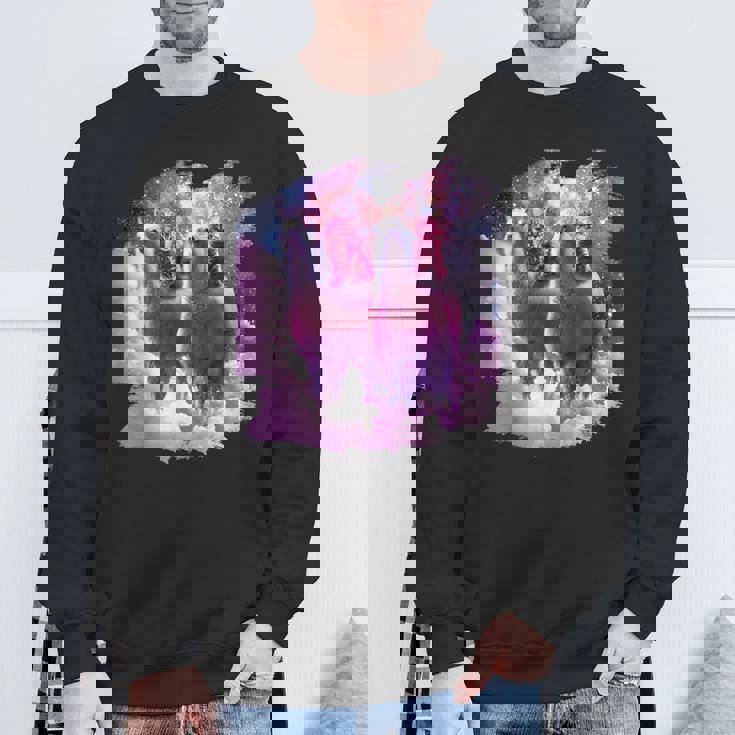 宇宙で虹色のラマに乗る子猫 スウェットシャツ 高齢者への贈り物