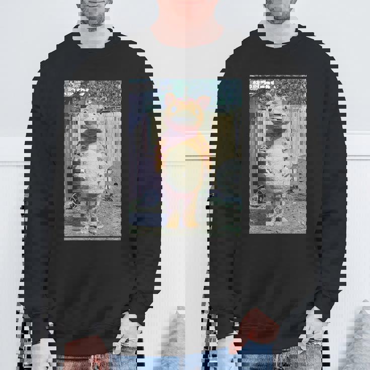 快獣ブースカシリーズ リアルスチール カラー スウェットシャツ 高齢者への贈り物