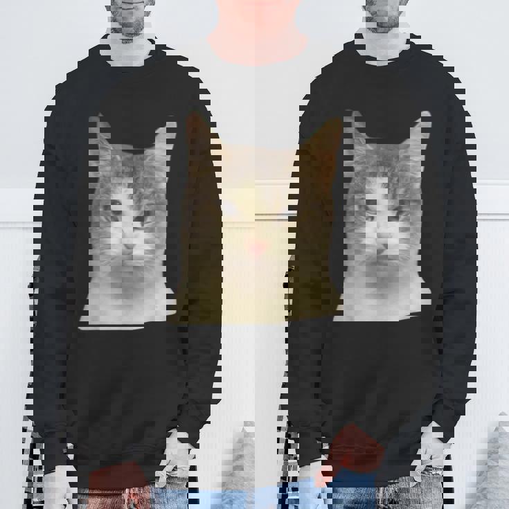 怒っている猫 リアル ミーム ウイルス インターネット スウェットシャツ 高齢者への贈り物