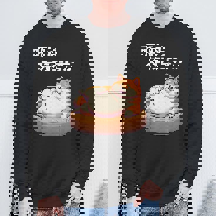 明日から本気出すワン おもしろ 犬 柴犬好き 柴犬 名言 文字 面白い ふざけた ネタ パロディ スウェットシャツ 高齢者への贈り物