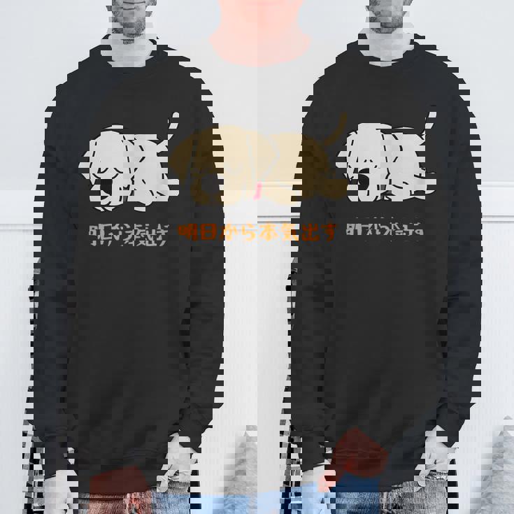 犬 おもしろ 明日から本気出す 可愛い ラブラドールレトリバー スウェットシャツ 高齢者への贈り物