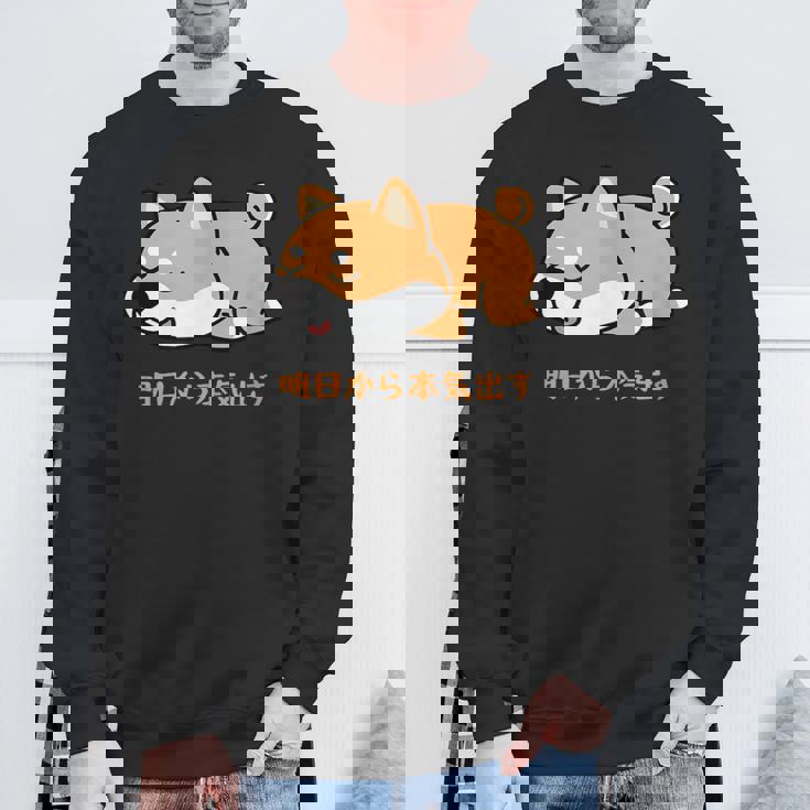 犬 おもしろ 明日から本気出す 可愛い 柴犬 シバイヌ 豆柴 マメシバ 小豆柴 スウェットシャツ 高齢者への贈り物