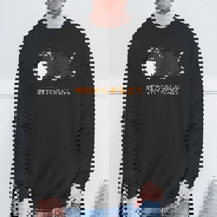 犬 おもしろ 明日から本気出すから 可愛い シュナウザー ミニチュアシュナウザー スウェットシャツ 高齢者への贈り物