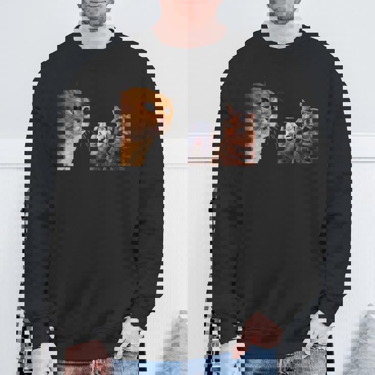 猫ミーム 説教する猫 怒られる猫 泣き叫ぶ猫 説教 怒る かわいい 面白い 人気 楽しい ハッピー スウェットシャツ 高齢者への贈り物