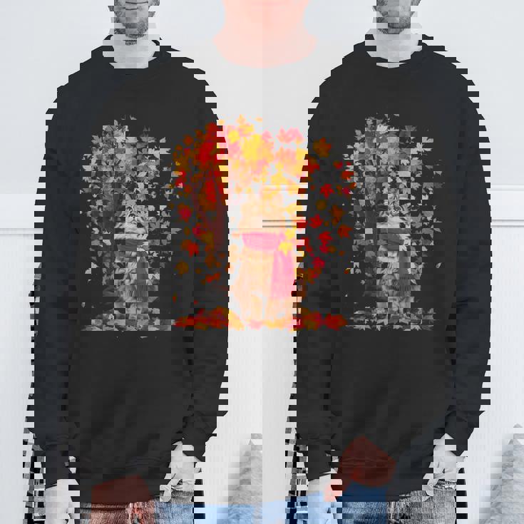 秋 猫 赤いスカーフ 紅葉 かわいい 猫 ママ 滝 スウェットシャツ 高齢者への贈り物