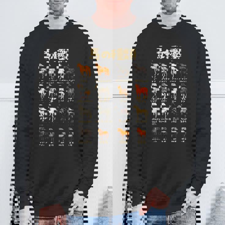 競馬 馬tシャツ 馬の種類 おもしろ ウマ レース 馬 乗馬 競馬 面白いtシャツ メンズ グッズ ネタ 大人 男性 スウェットシャツ 高齢者への贈り物