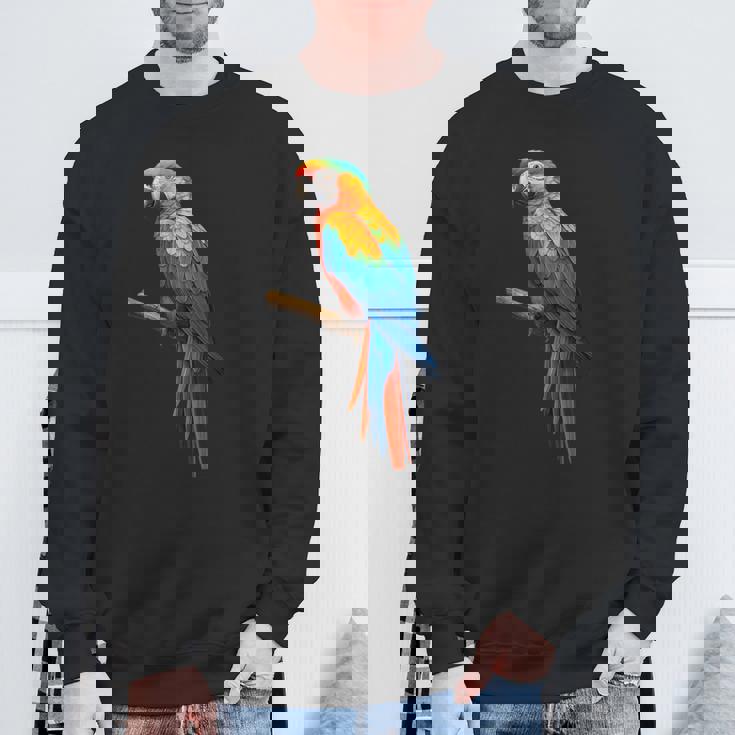 美しいオウム スウェットシャツ 高齢者への贈り物