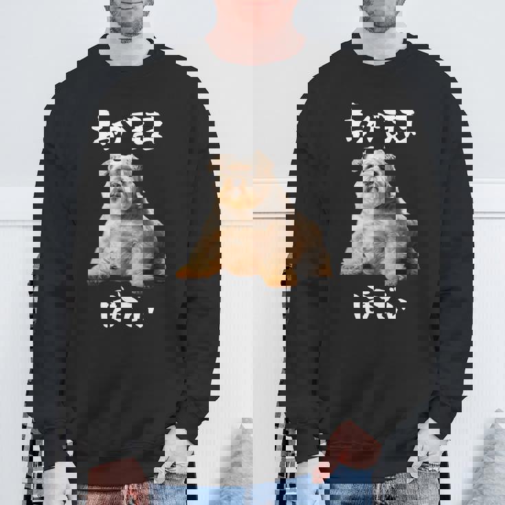 面白いtシャツ シュナウザー わがままボディ イヌ 犬 メンズ 犬好き グッズ おもしろ 面白い 服 ネタ スウェットシャツ 高齢者への贈り物